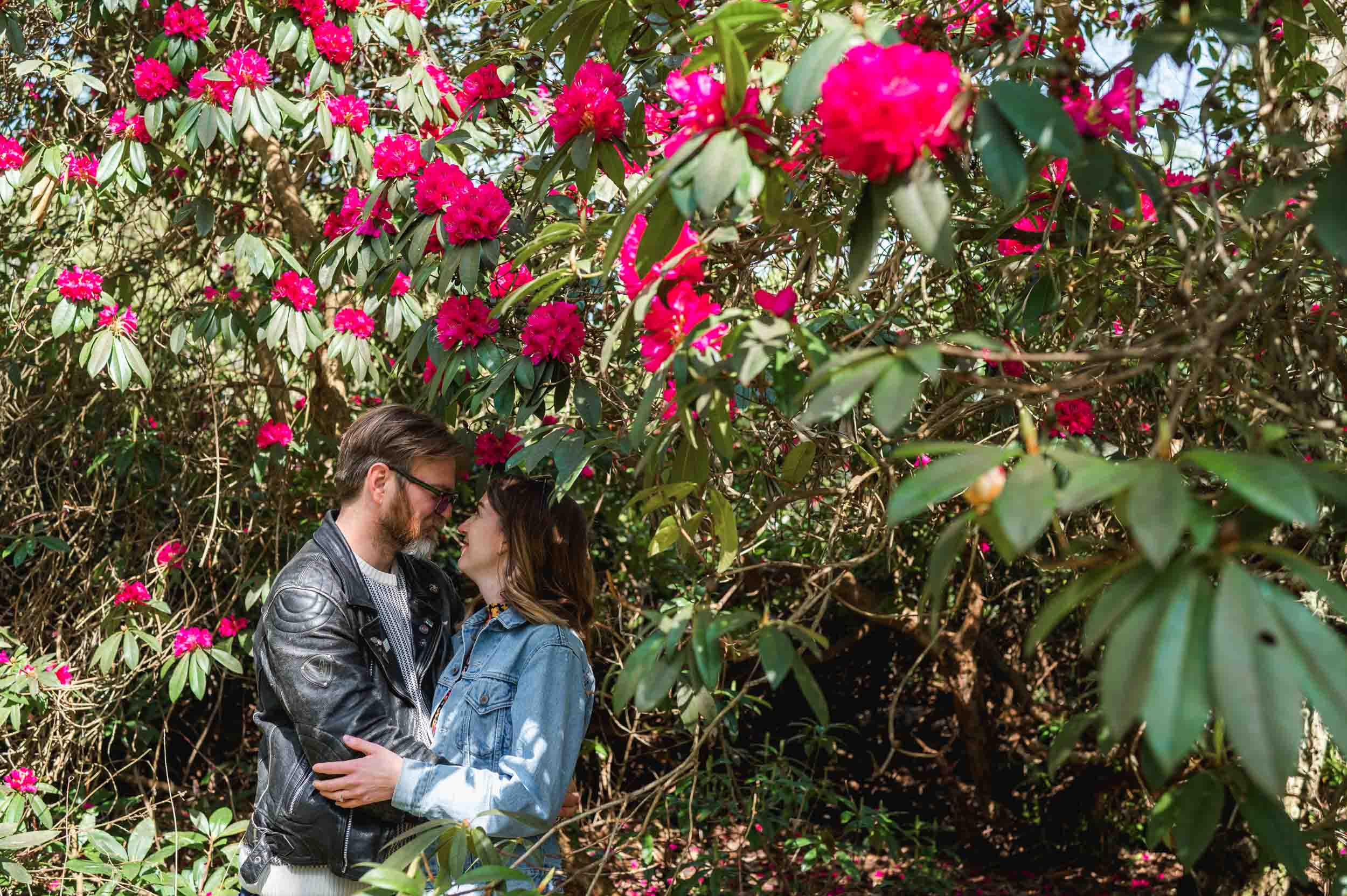 Sandringham pre-wedding shoot